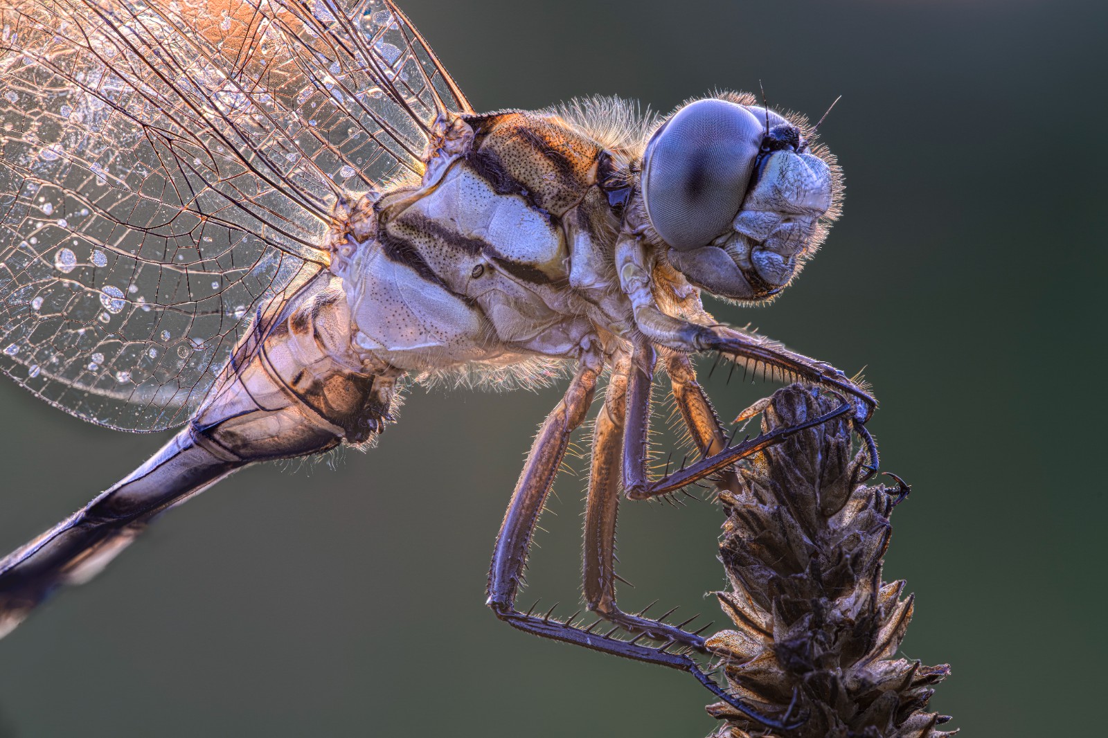 Alberto Ghizzi Panizza_Sample Photo_20.jpg
