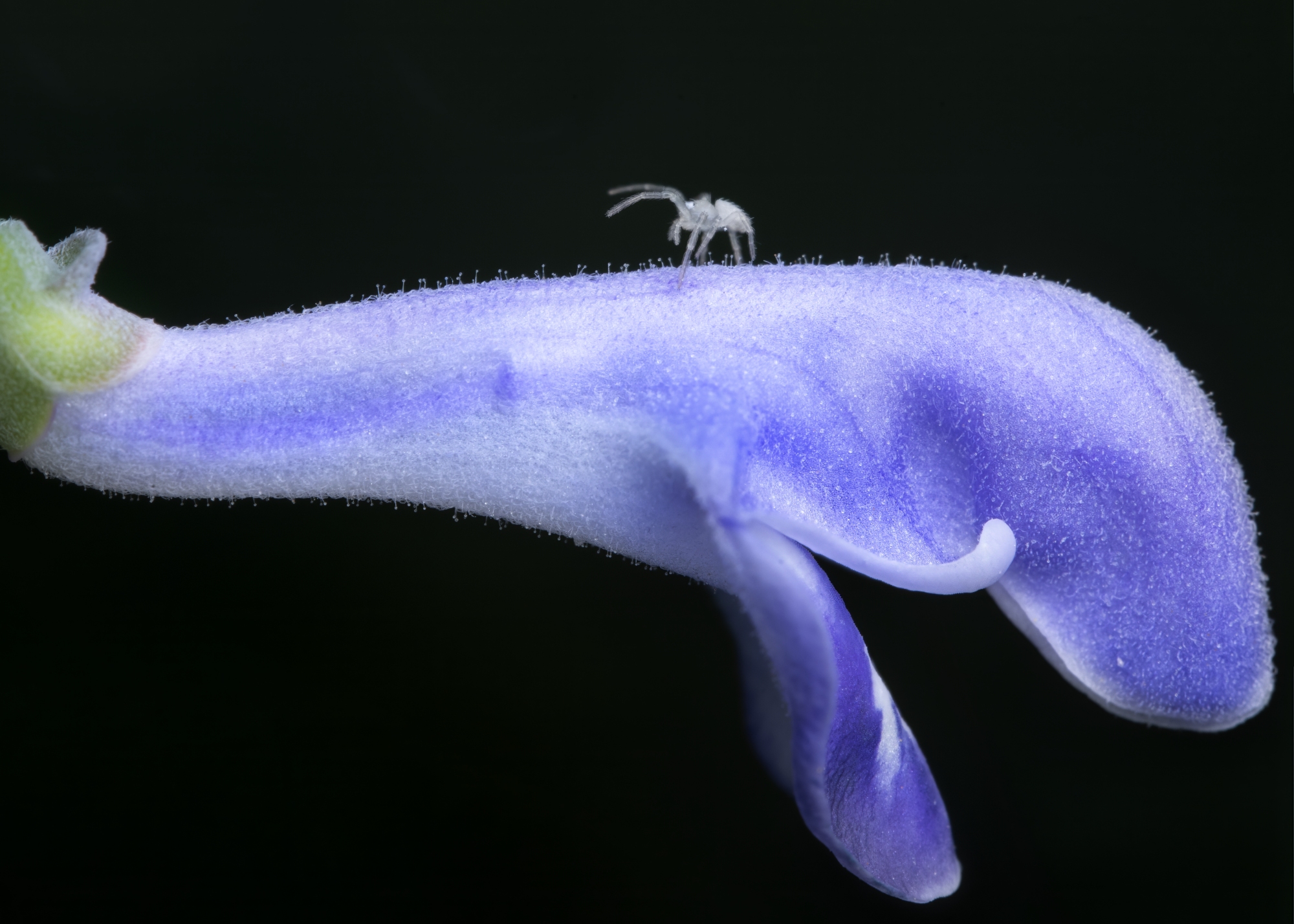 Scott Keys_Sample Photo_02_副本.jpg