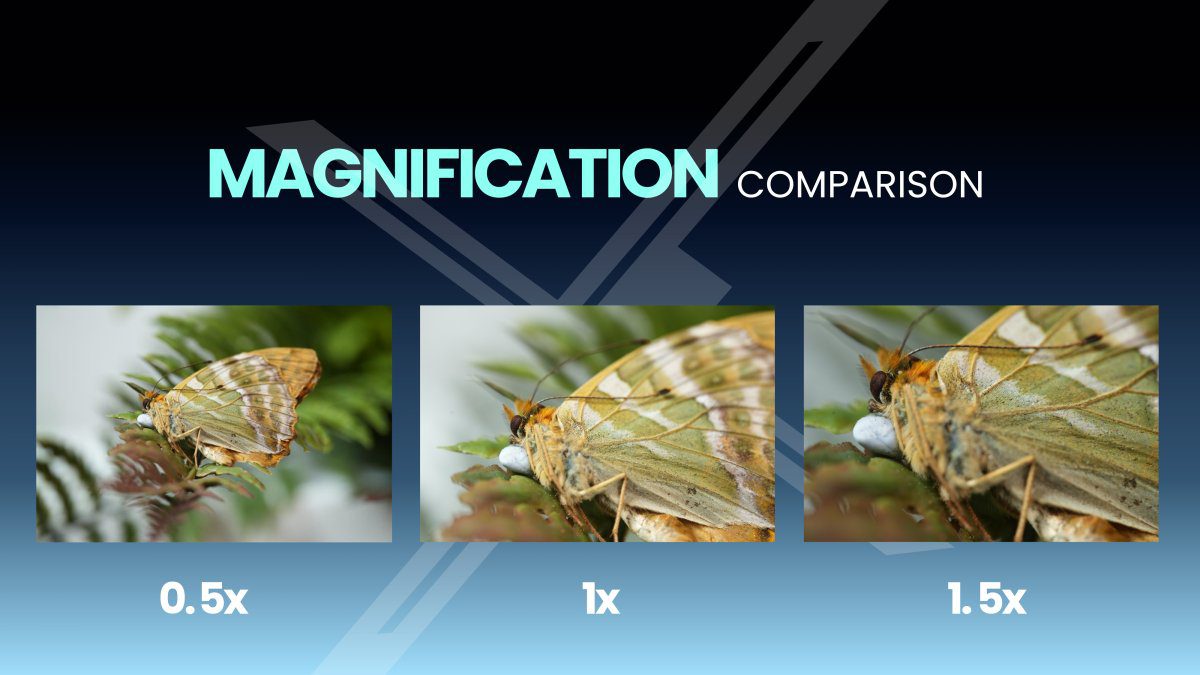 202509012_180mm-macro_Magnification-Comparison-1200x675.jpg