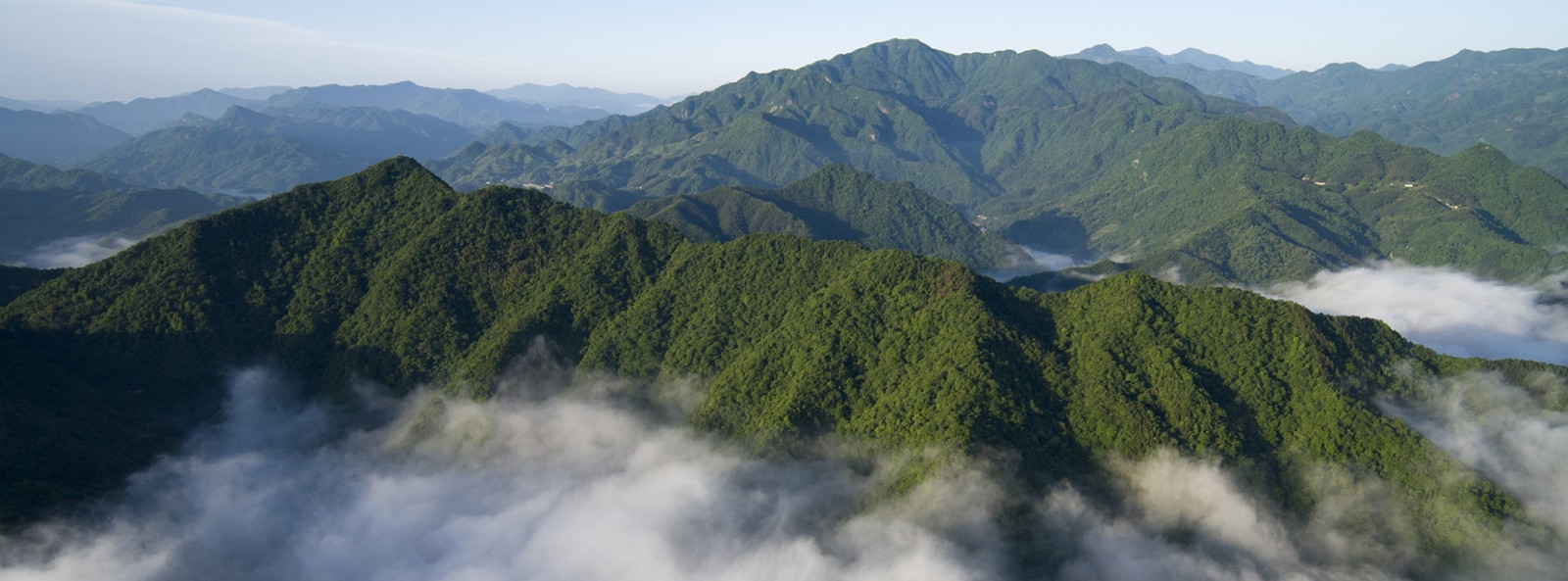 模块1背景图.jpg