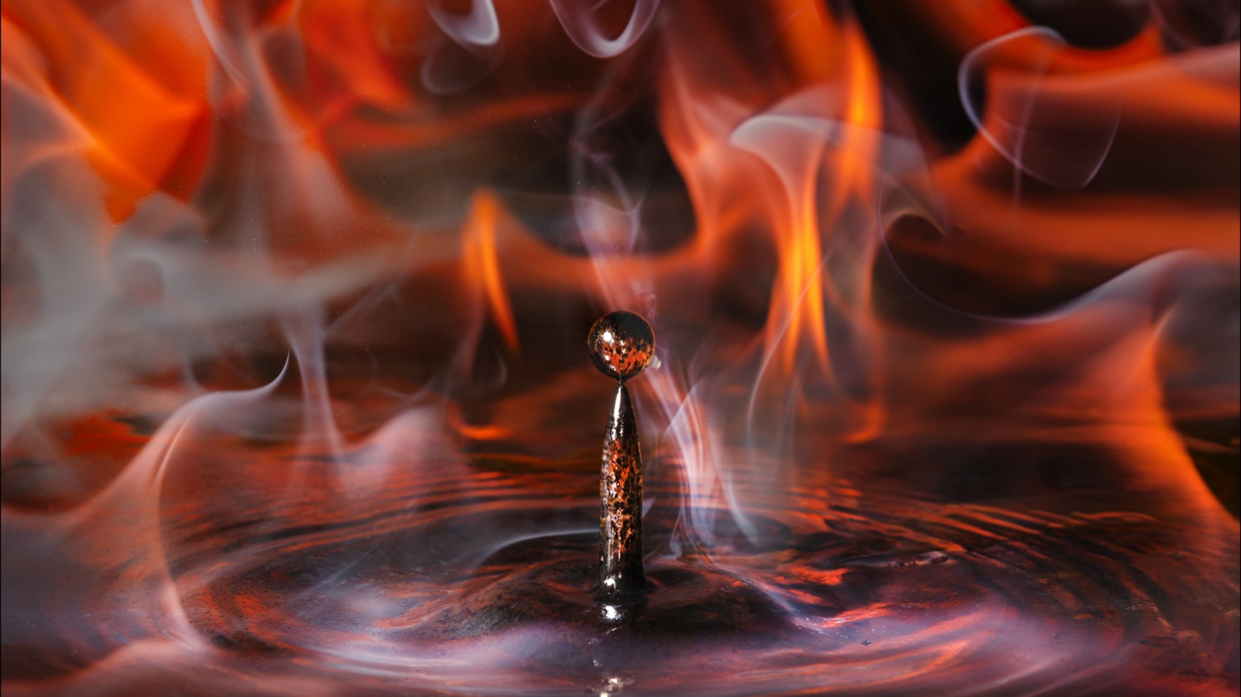 ©Alberto Ghizzi Panizza FFⅡ TS 100mm F2.8 Macro 1X