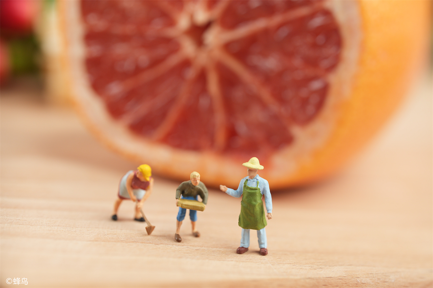 ©蜂鸟 FFⅡ TS 100mm F2.8 Macro 1X