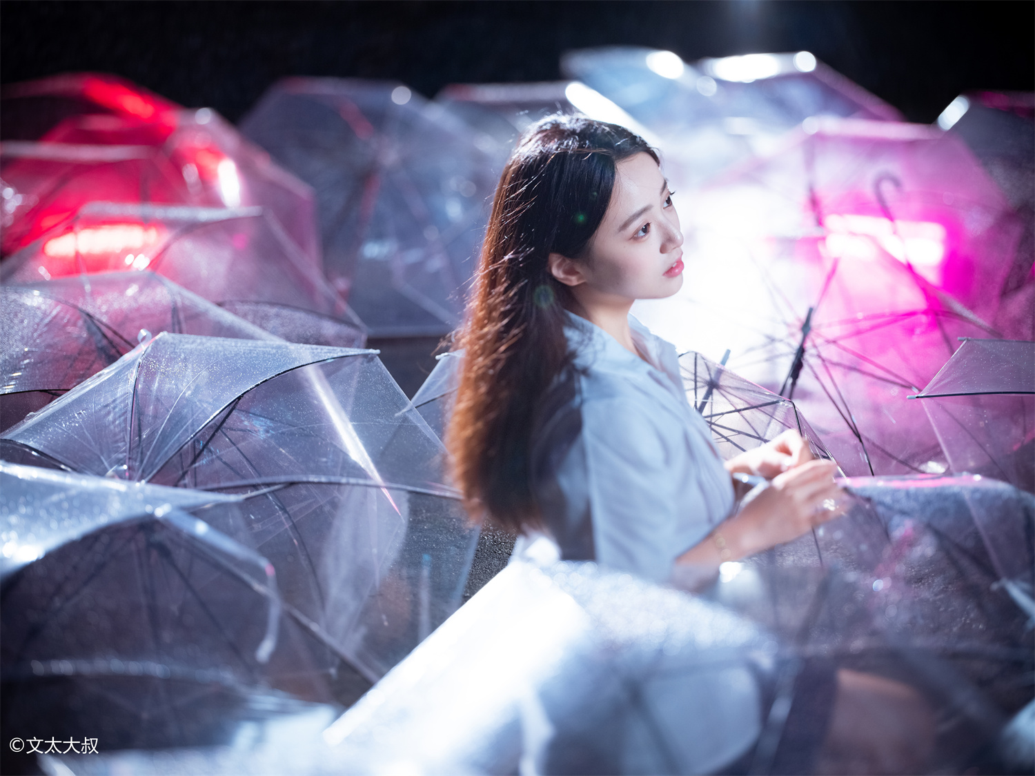 ©文太大叔 FFⅡ TS 100mm F2.8 Macro 1X