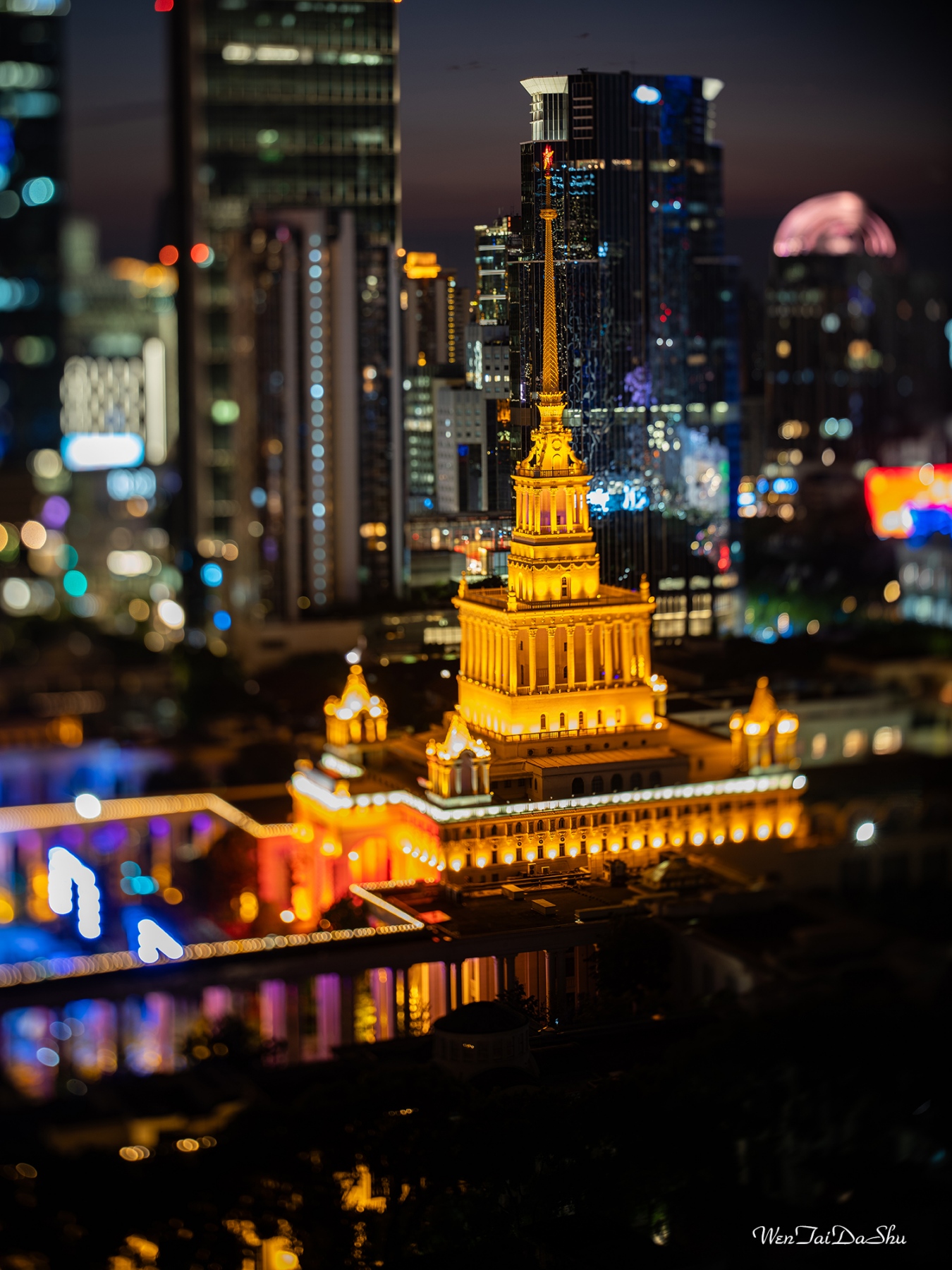 ©文太大叔 FFⅡ TS 100mm F2.8 Macro 1X