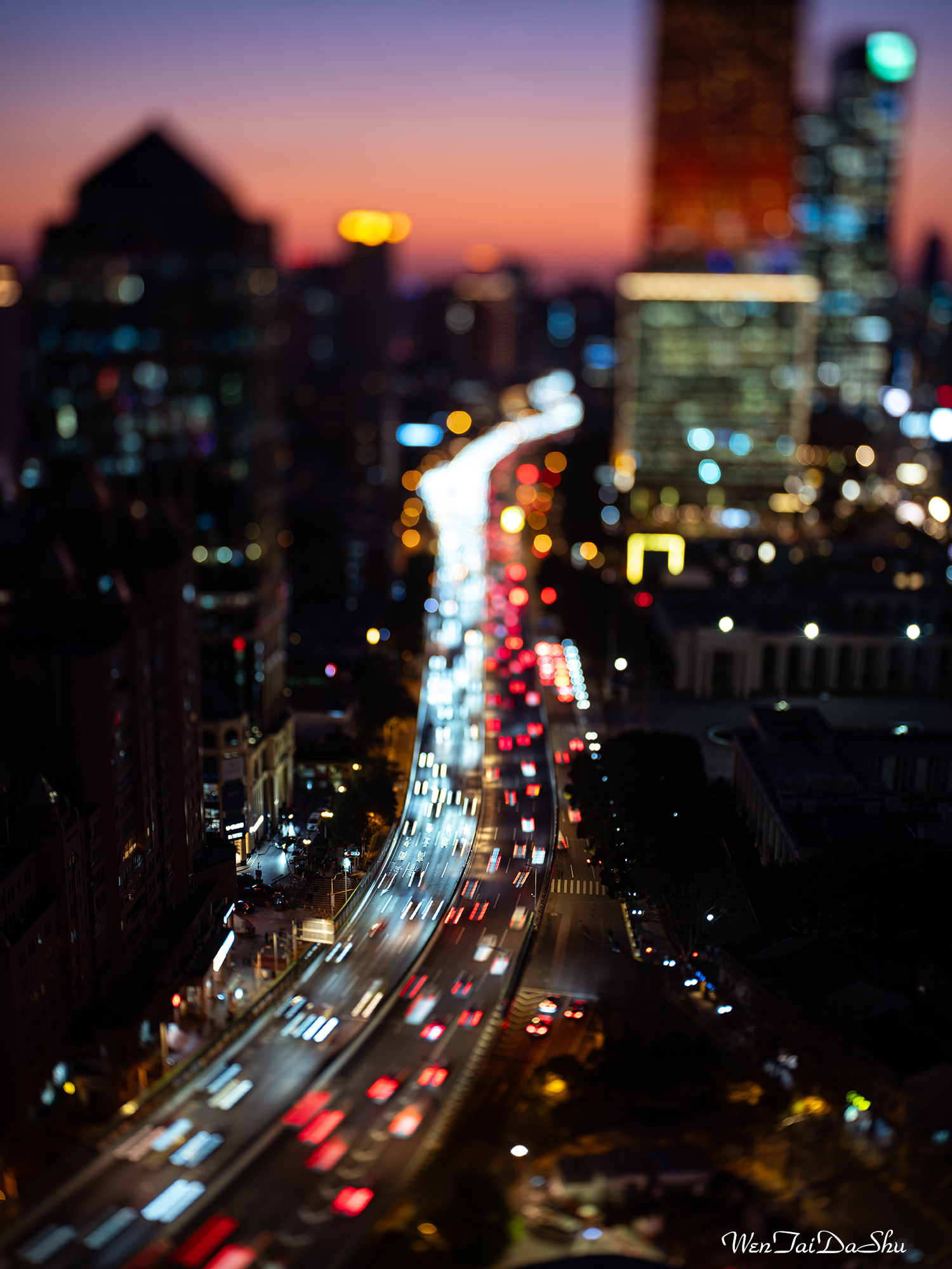 ©文太大叔 FFⅡ TS 55mm F2.8 Macro 1X