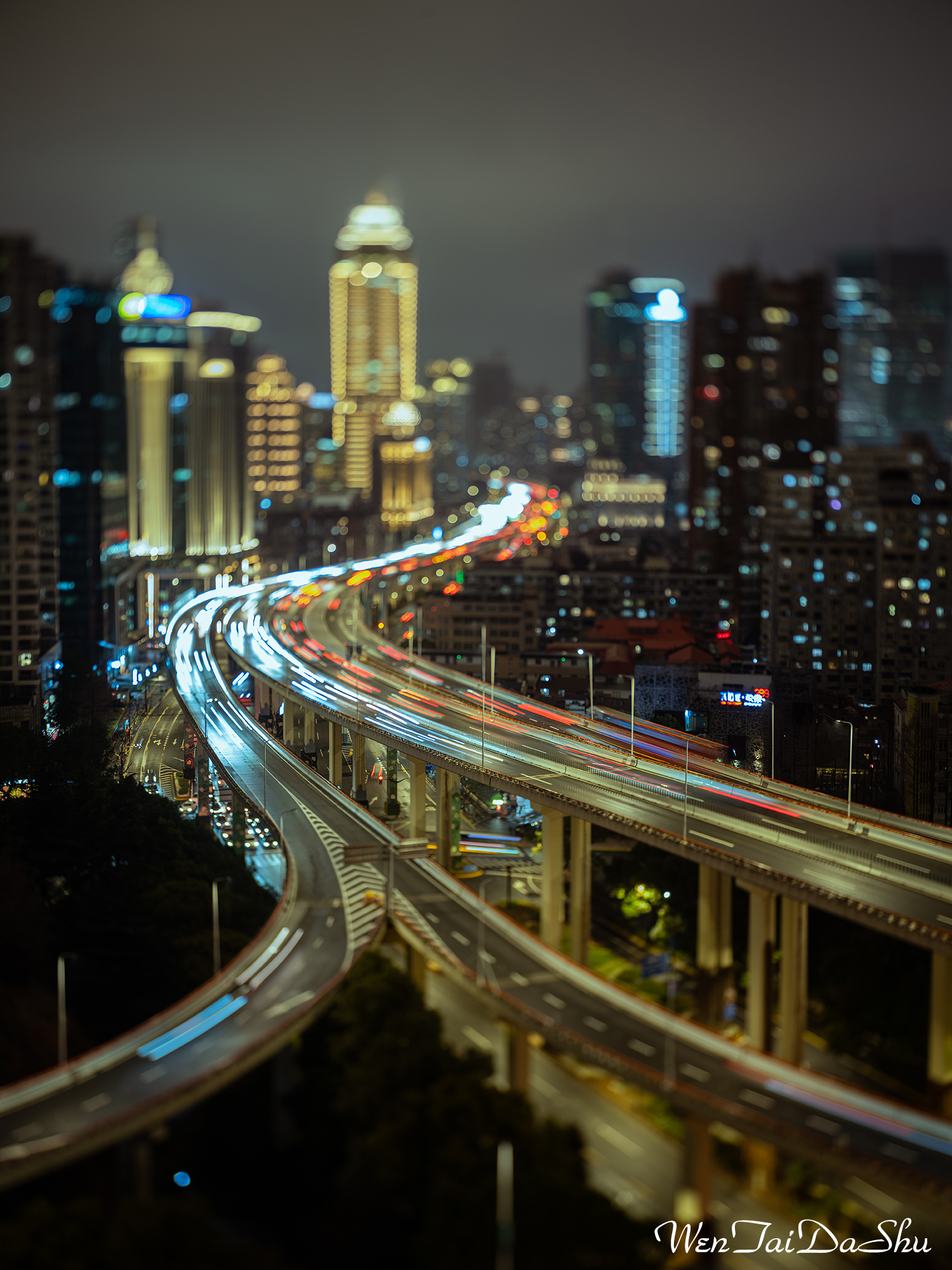 ©文太大叔 FFⅡ TS 55mm F2.8 Macro 1X