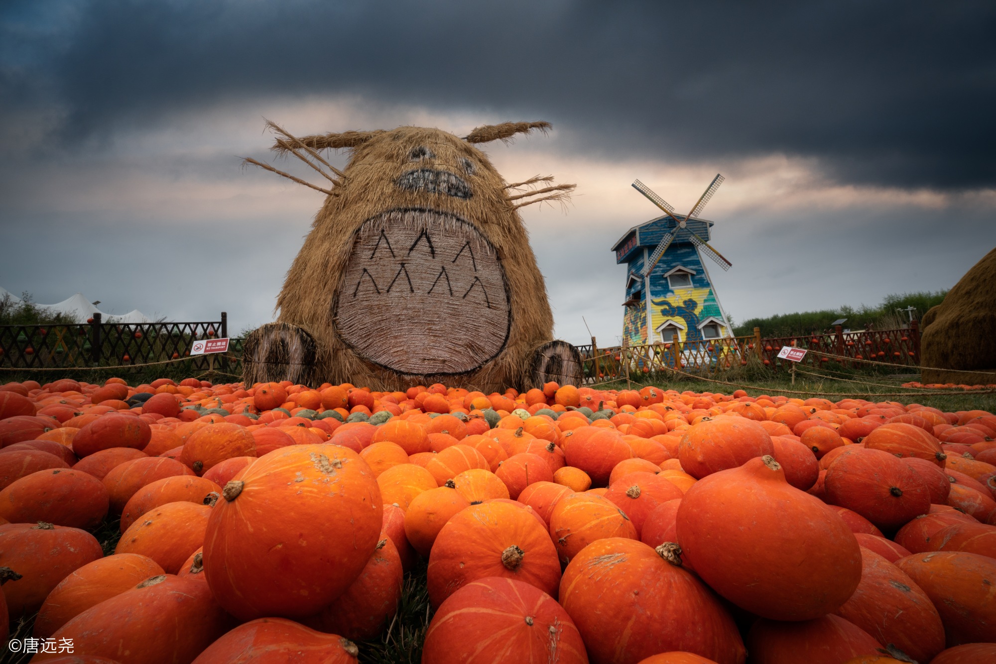 ©唐远尧FFⅡ 14mm F4.0 C&D-Dreamer 