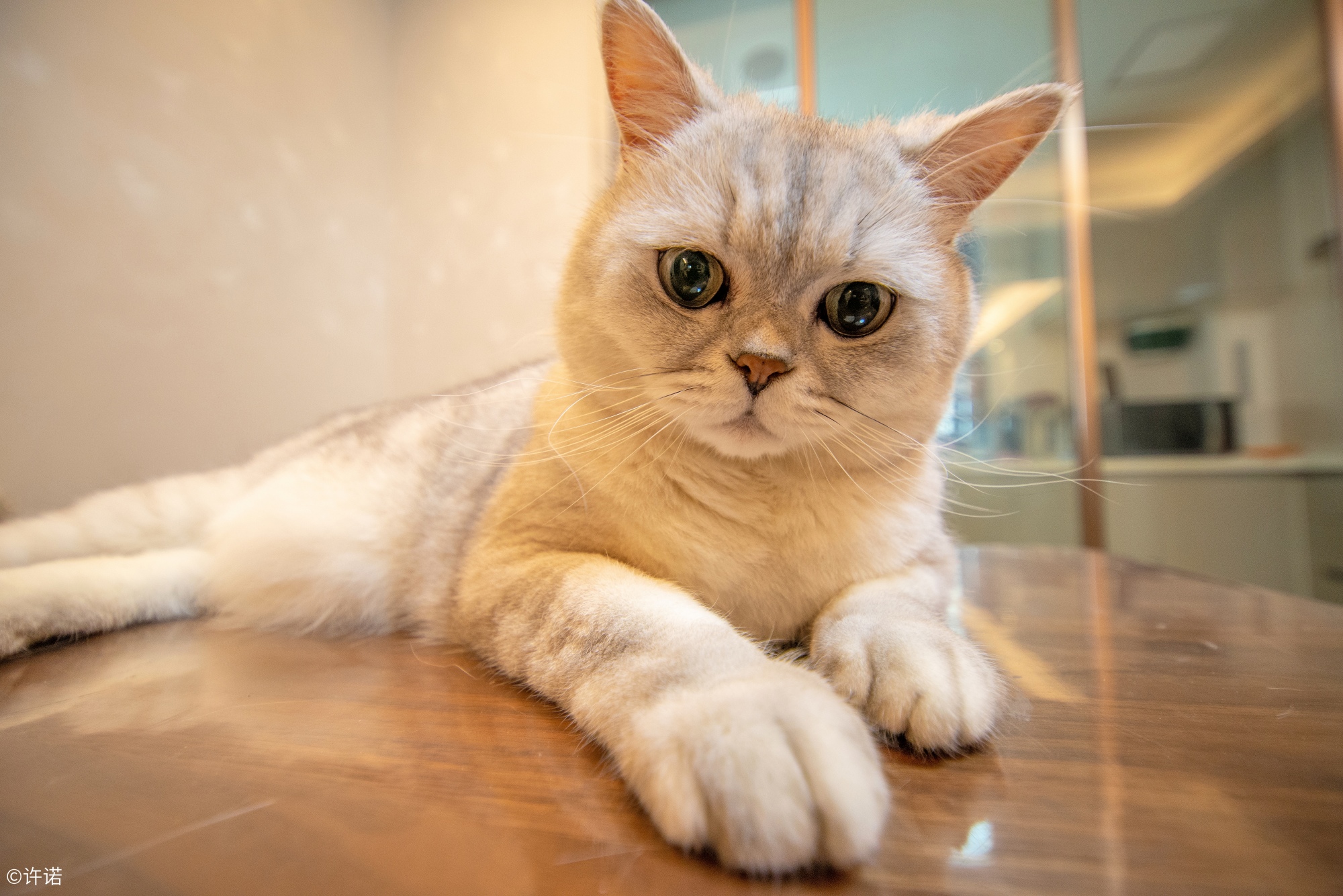 ©许诺FFⅡ 14mm F4.0 C&D-Dreamer DSLR