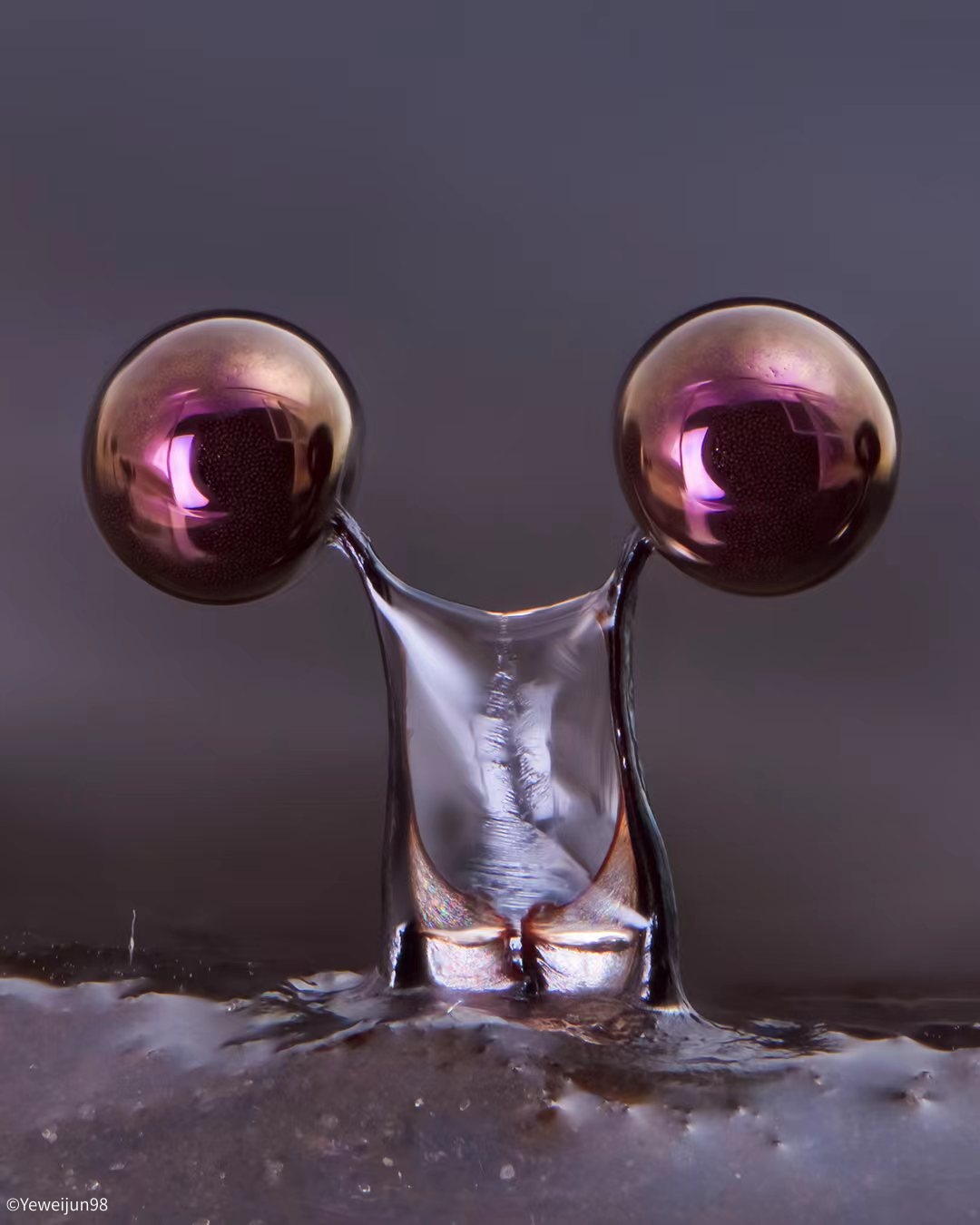 ©Yeweijun98Aurogon FF 10-50x NA0.5 Supermicro APO