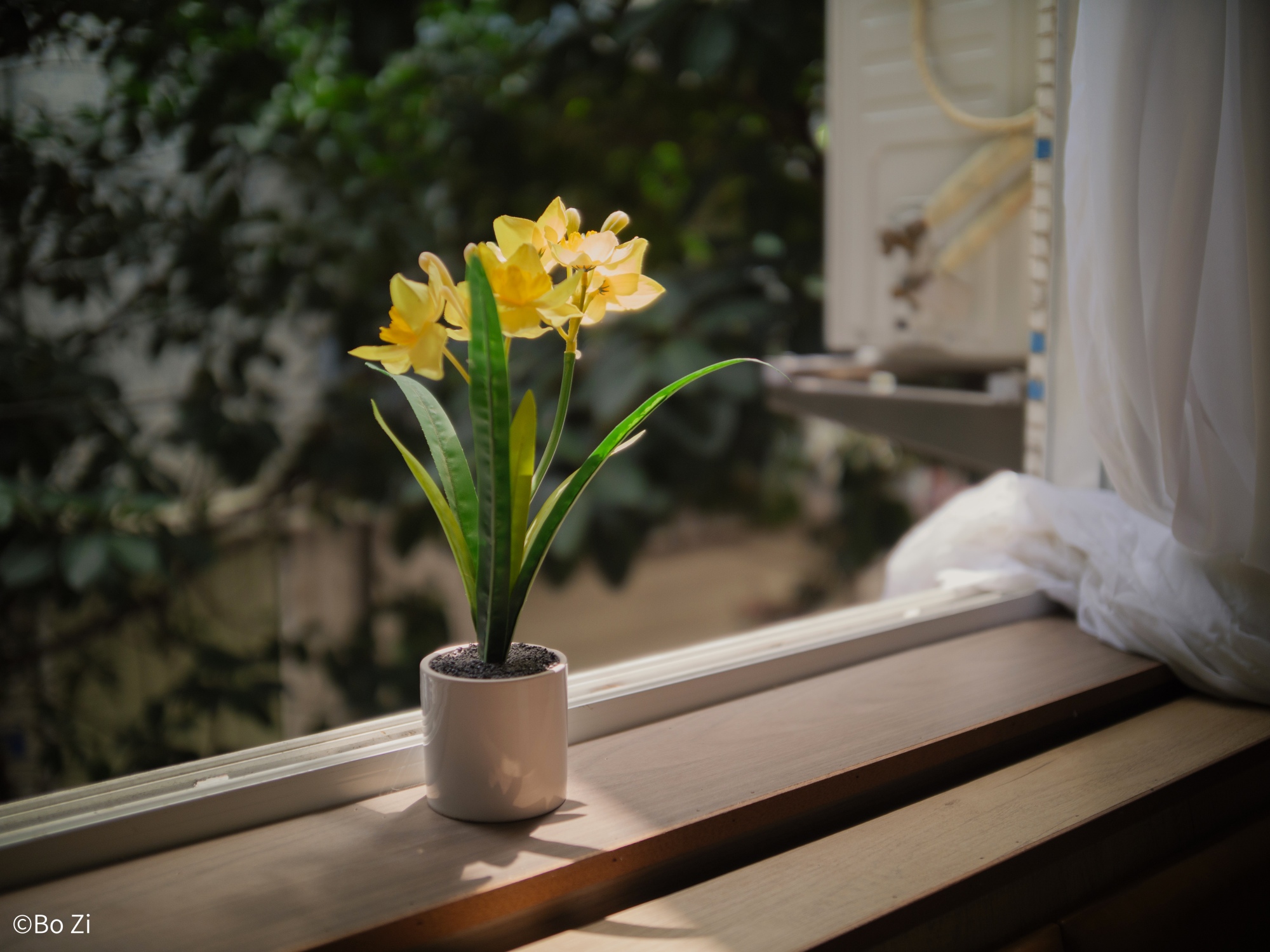 ©Bo ZiMFT Argus 18mm f/0.95 APO