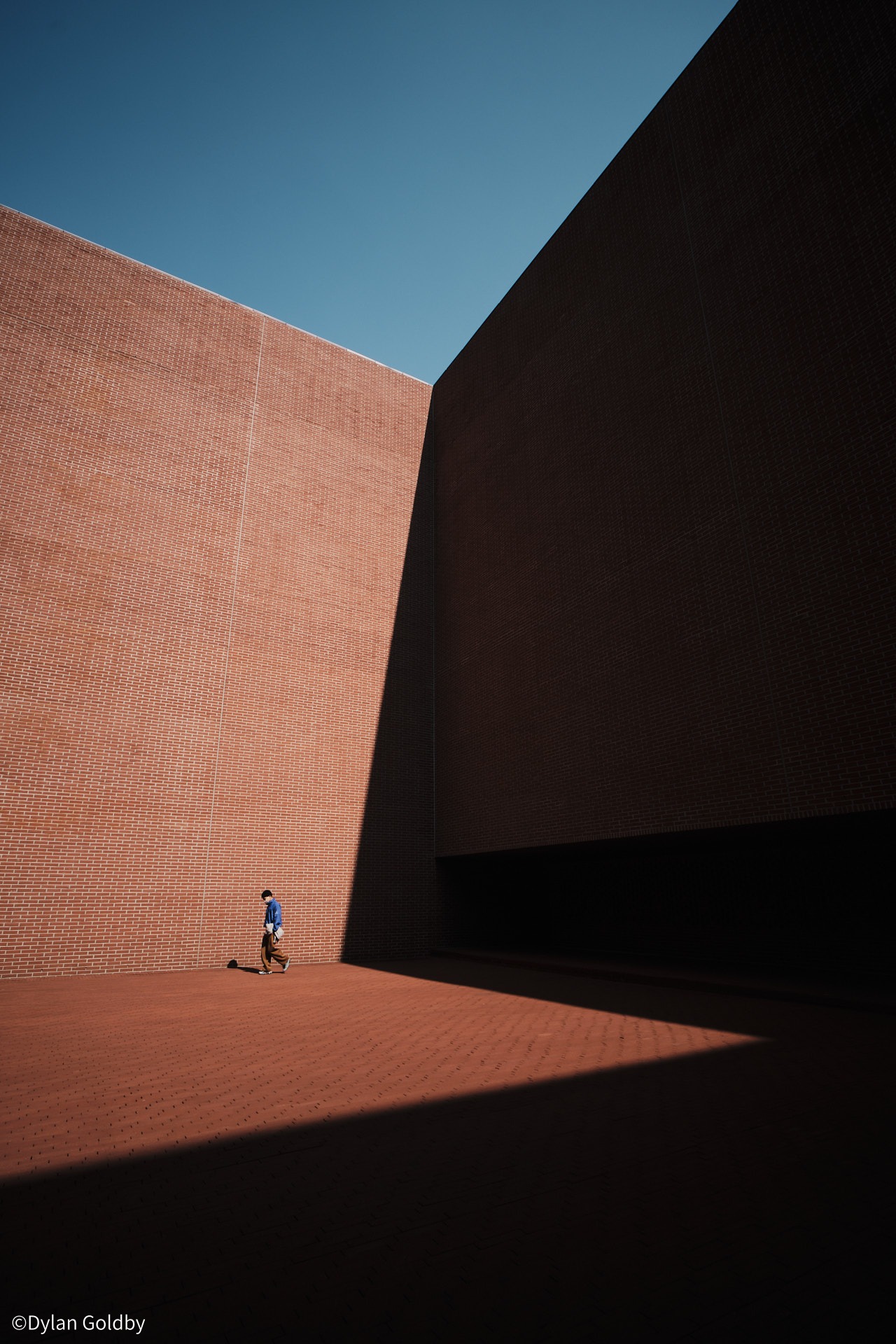 ©Dylan Goldby CF 10mm F4.0 Cookie