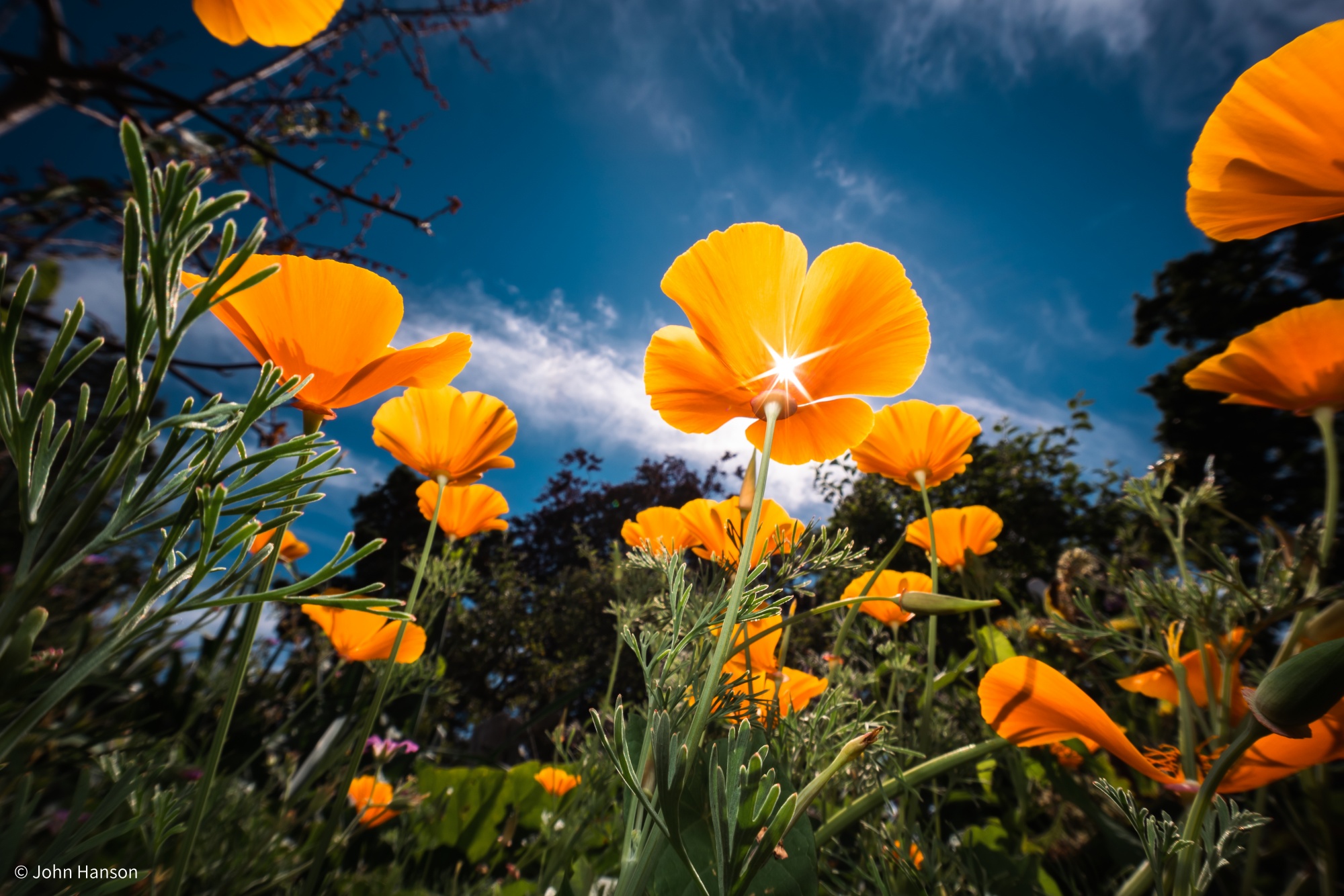 © John Hanson CF 10mm F4.0 Cookie