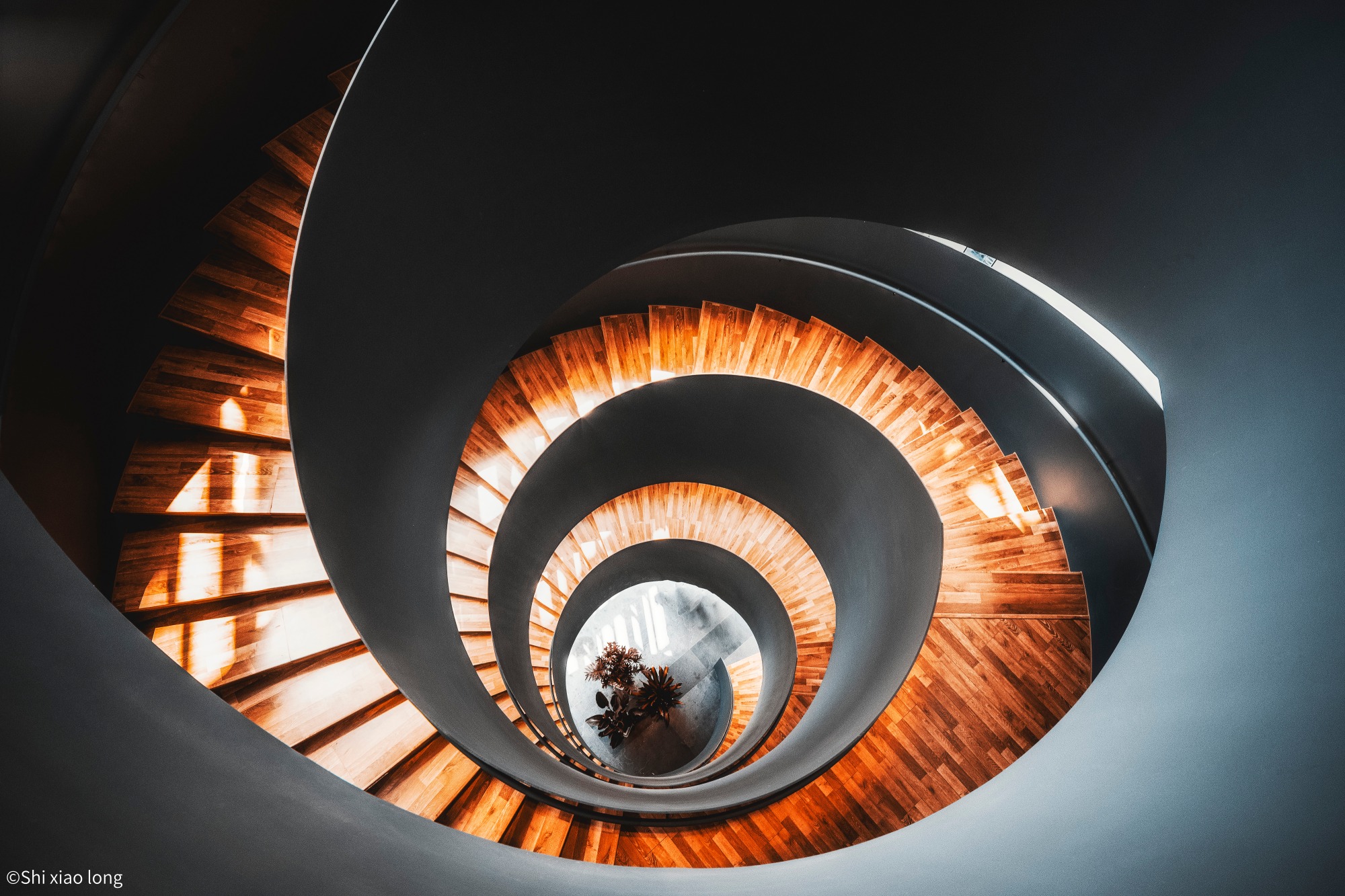 ©Shi xiao longFFⅡ 12-24mm F5.6 C-Dreamer