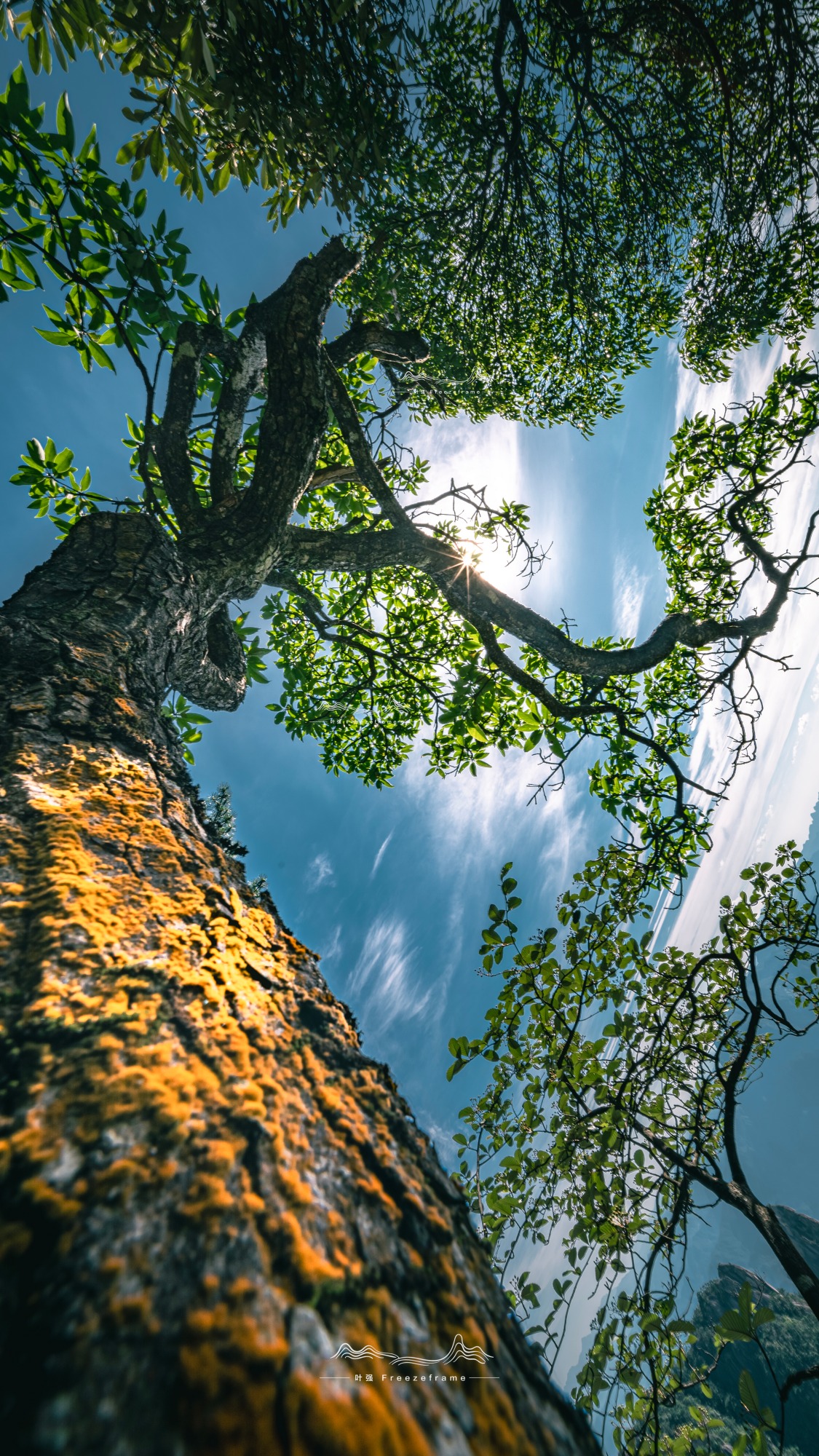 ©FreezeframeFFⅡ 12-24mm F5.6 C-Dreamer