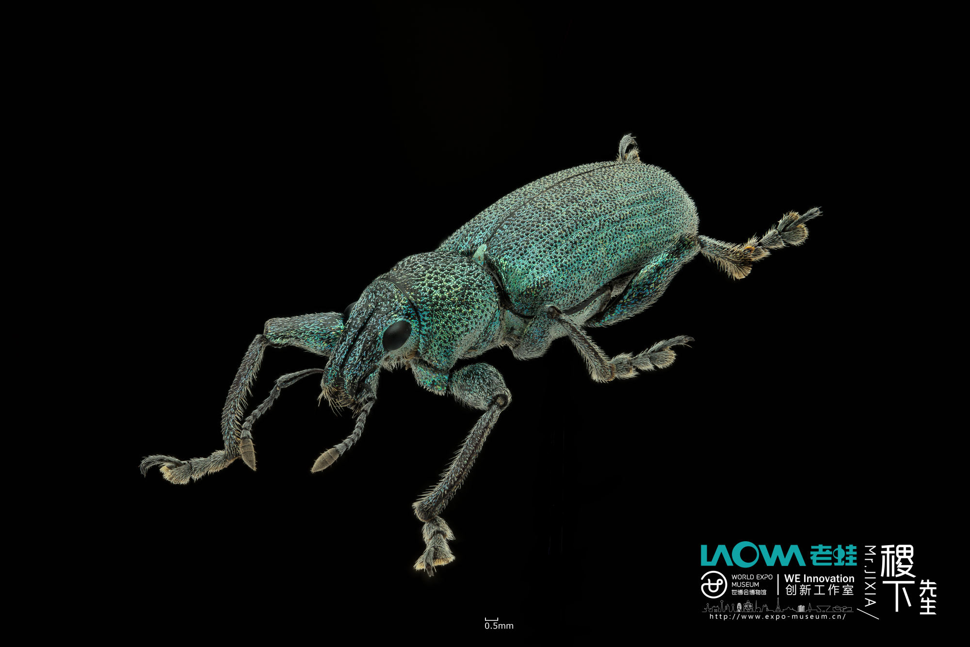 ©Ji Xia Xian ShengFF 100mm F2.8 CA-Dreamer Macro 2X