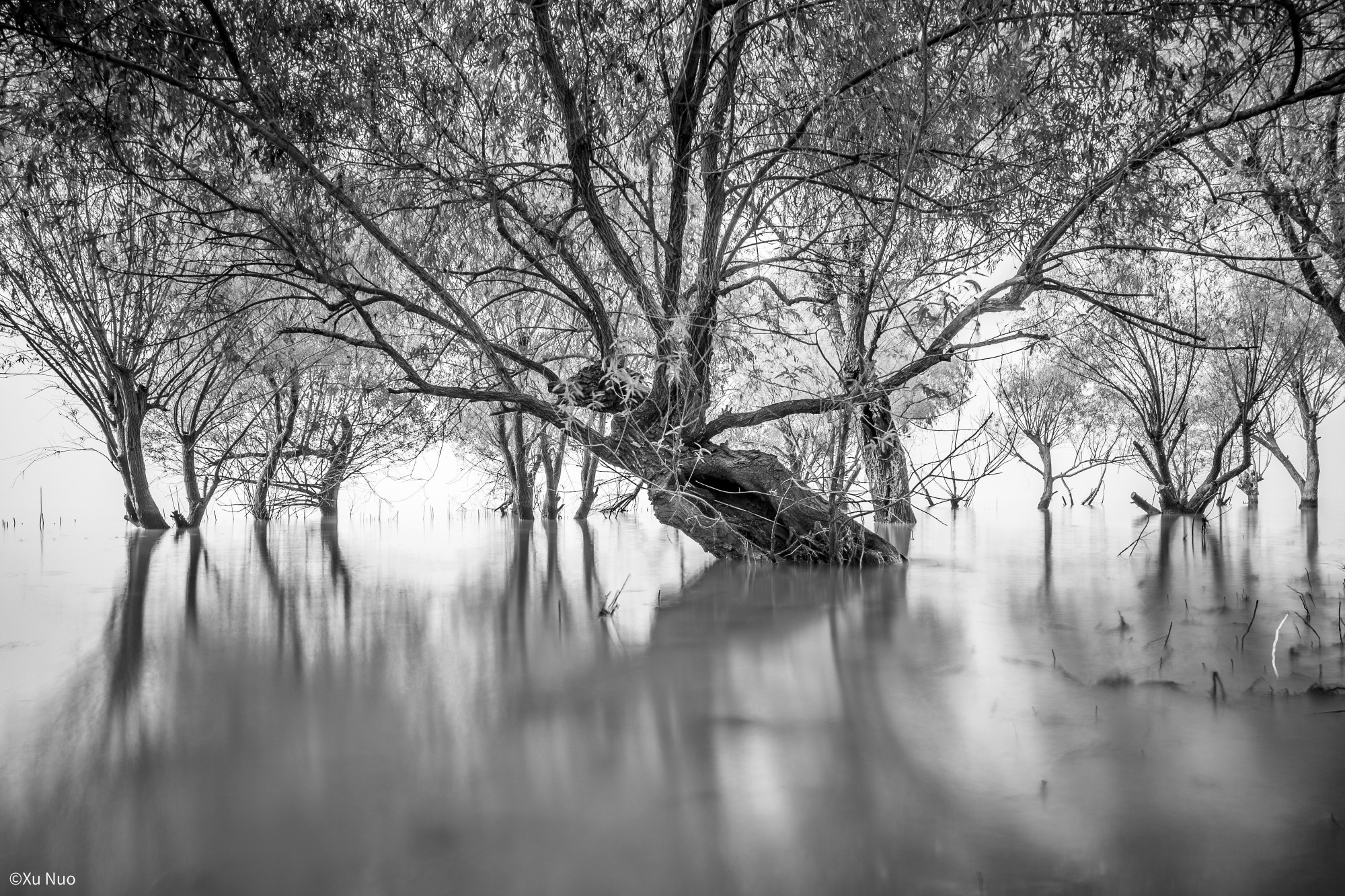 ©Xu NuoMFT 10mm F2.0 C&D-Dreamer