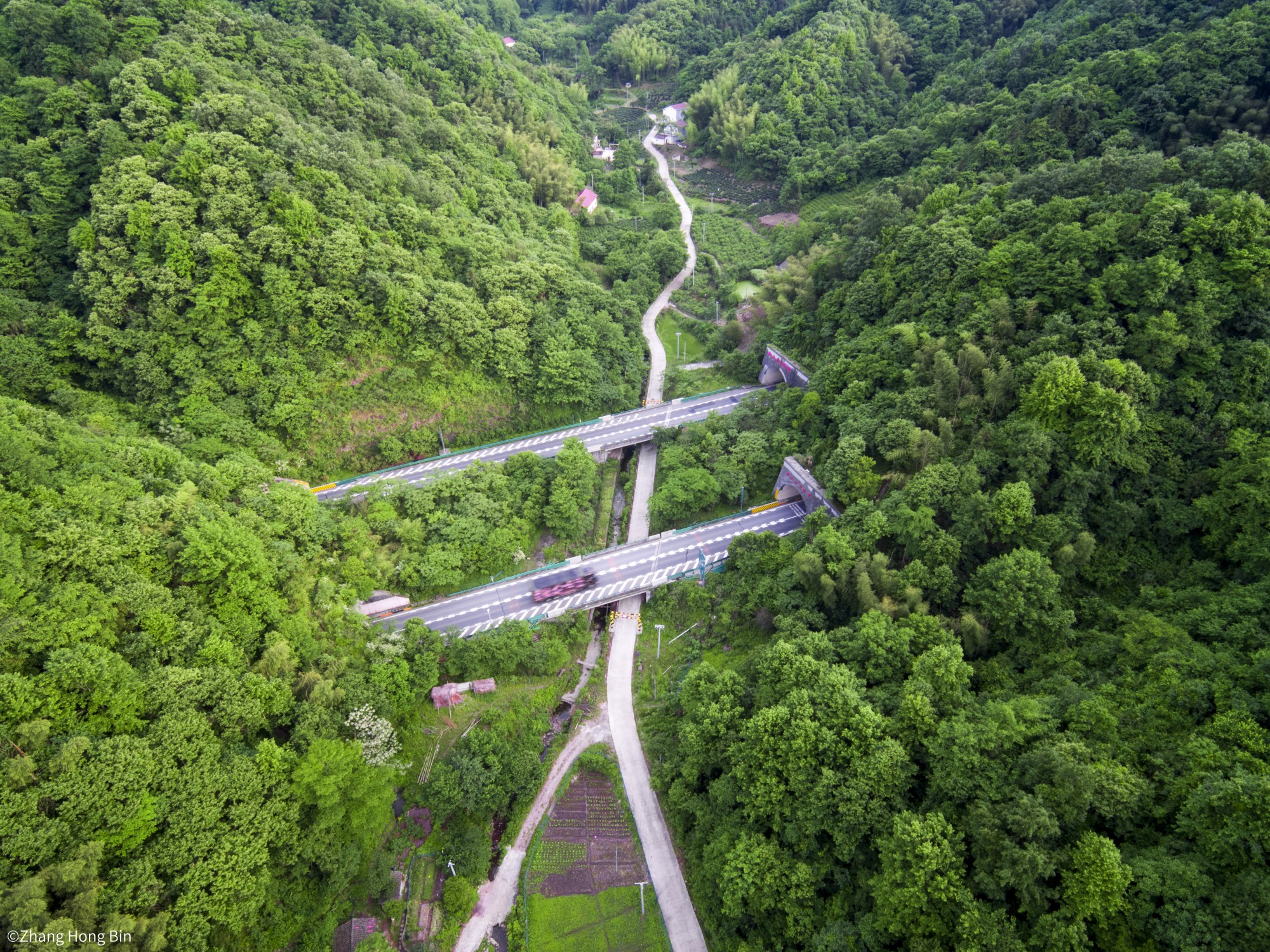 ©Zhang Hong BinMFT 10mm F2.0 C&D-Dreamer