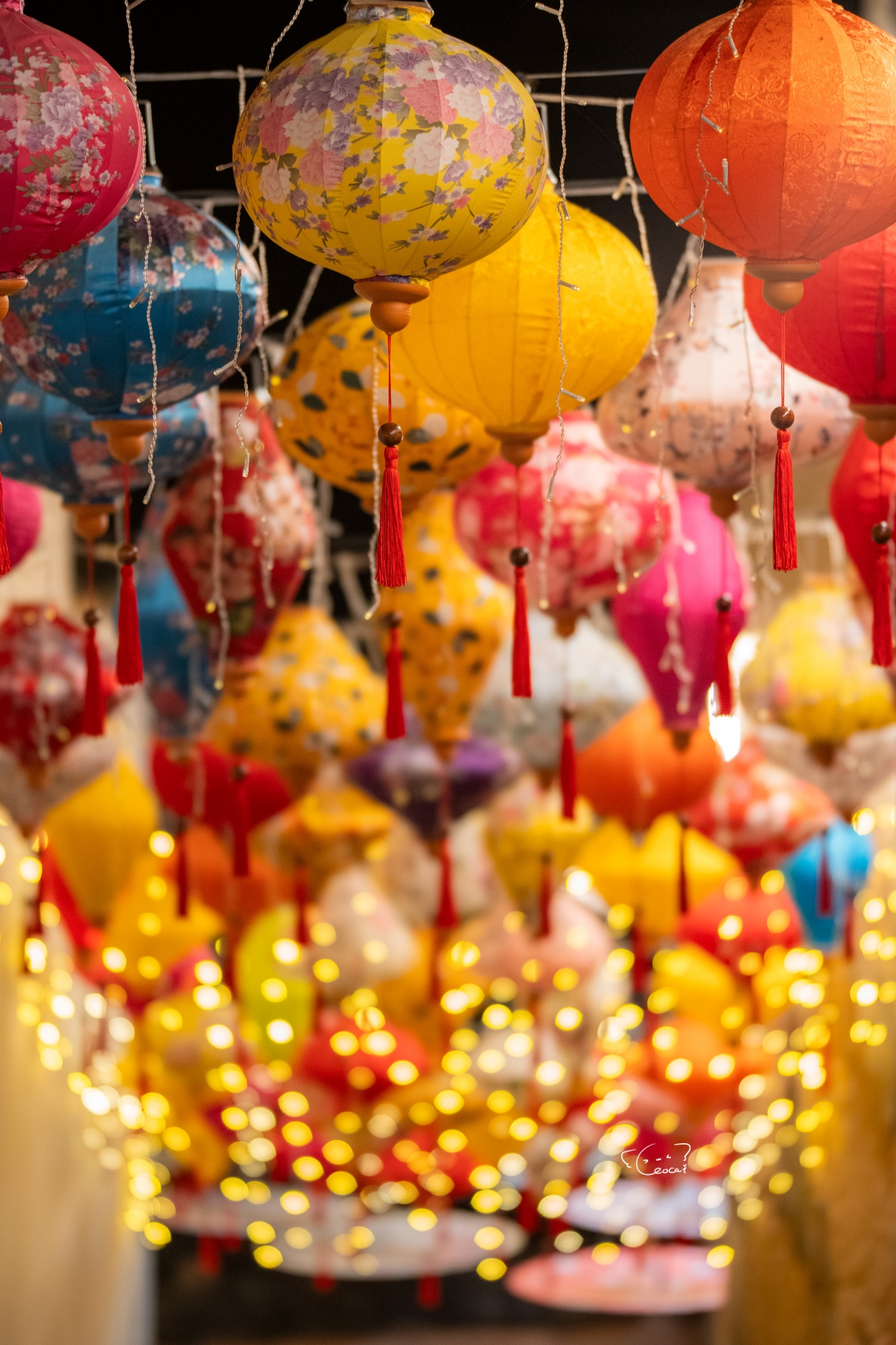 ©Leo Cai Yin LinFF 105mm F2.0(T3.2) B-Dreamer