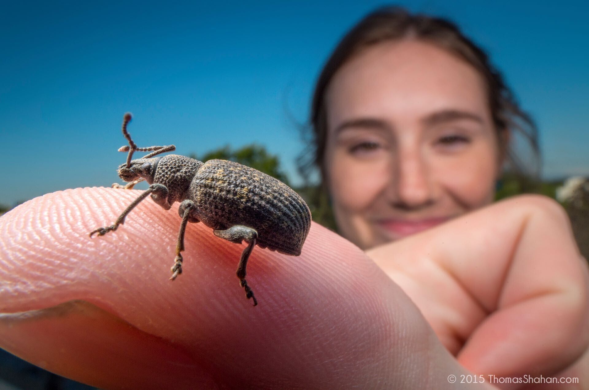© Thomas ShahanFF 15mm F4.0 Macro 1X Shift