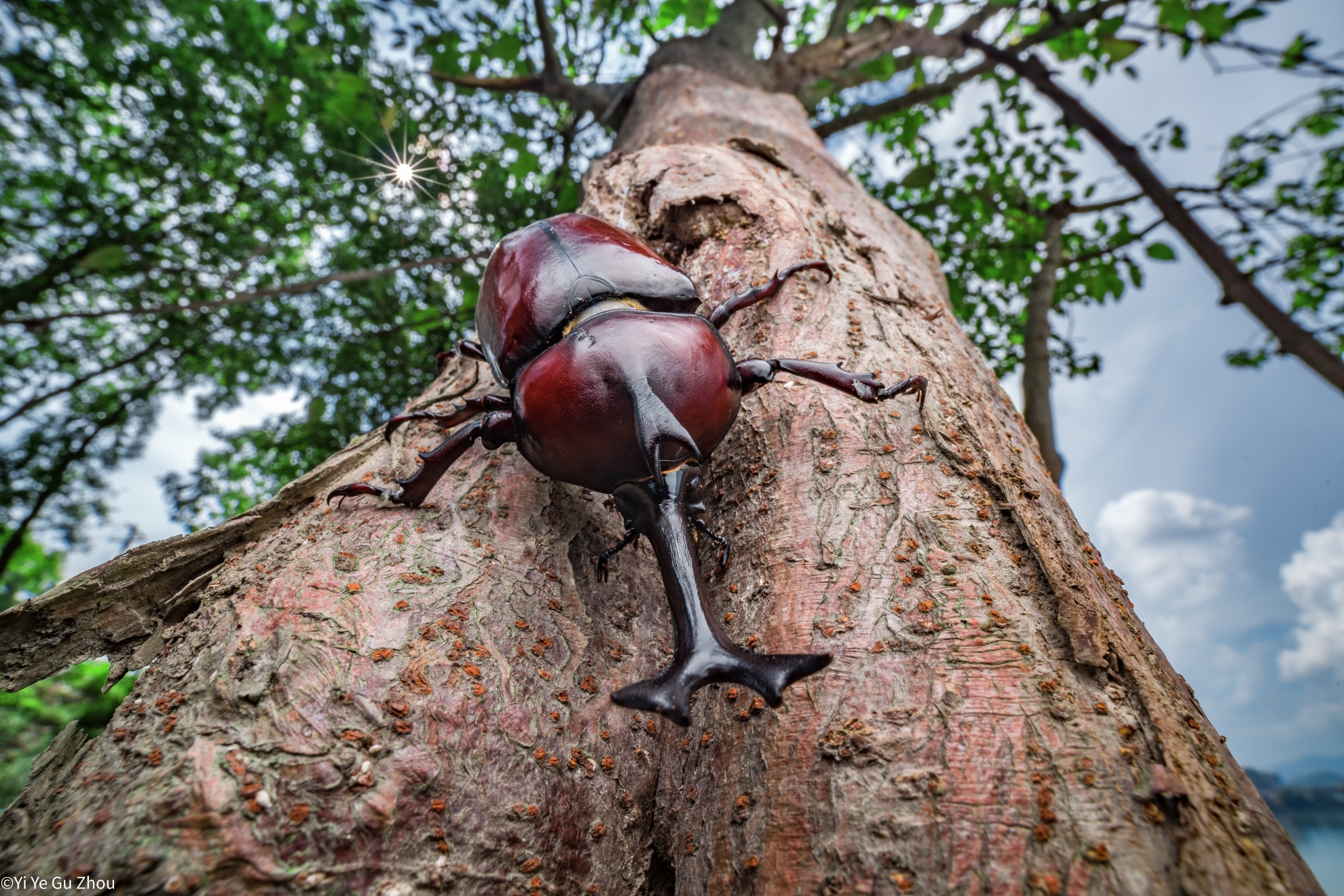 ©Yi Ye Gu ZhouFF 15mm F4.0 Macro 1X Shift