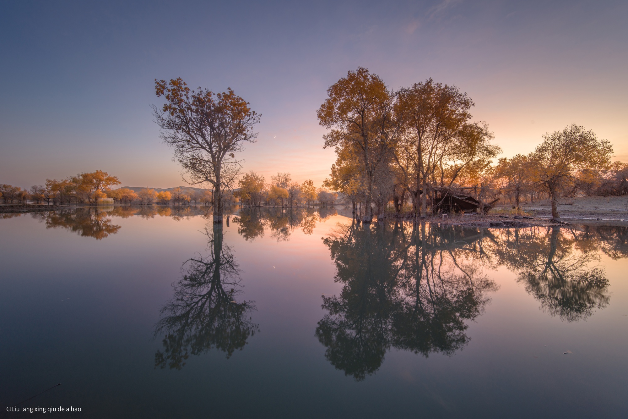 ©©Liu lang xing qiu de a hao19mm F2.8 C&D-Dreamer
