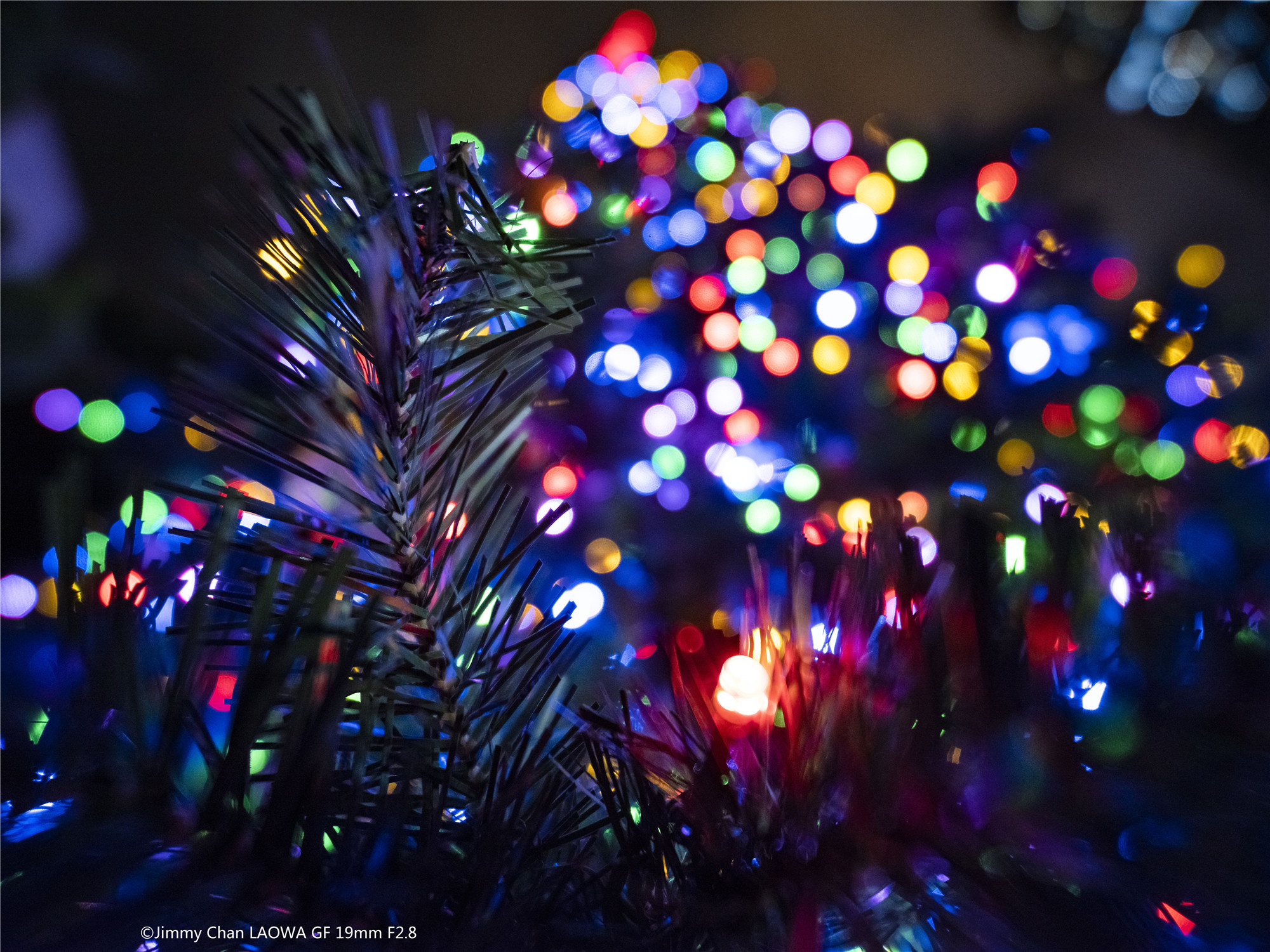 ©Jimmy Chan19mm F2.8 C&D-Dreamer