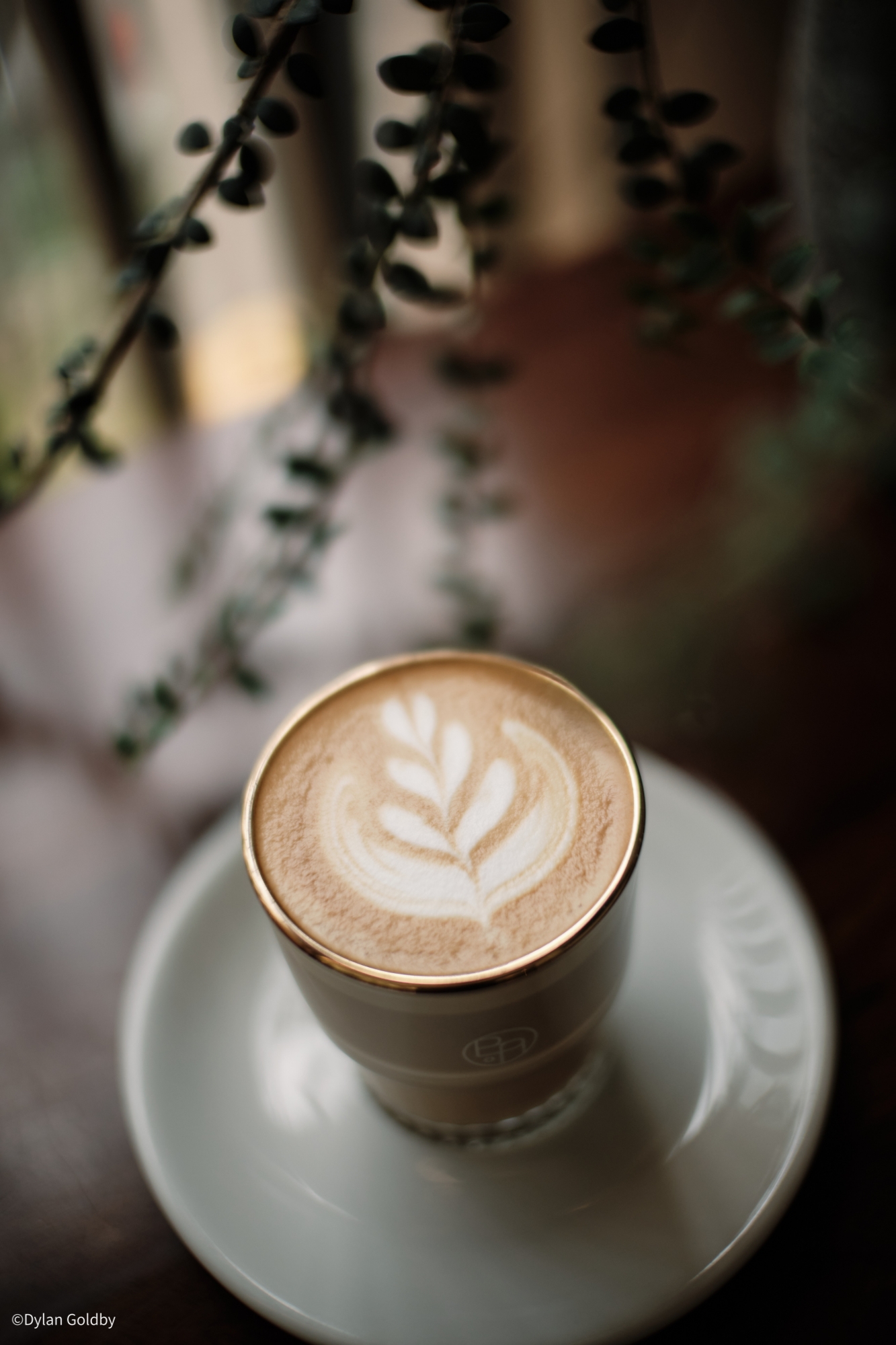 ©Dylan GoldbyCF Argus 25mm f/0.95 APO