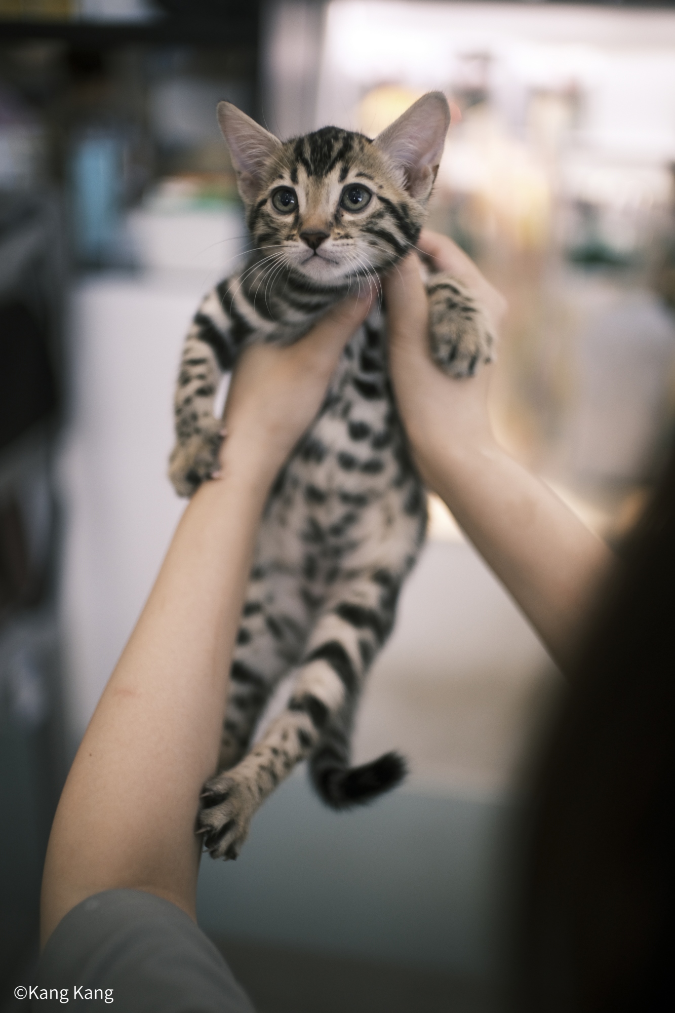 ©Kang KangCF Argus 25mm f/0.95 APO